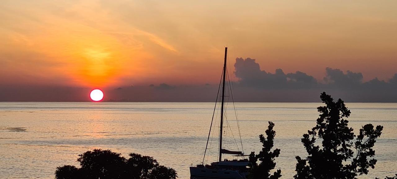 Harmony Self-Catering Apartments Beau Vallon  Exteriér fotografie