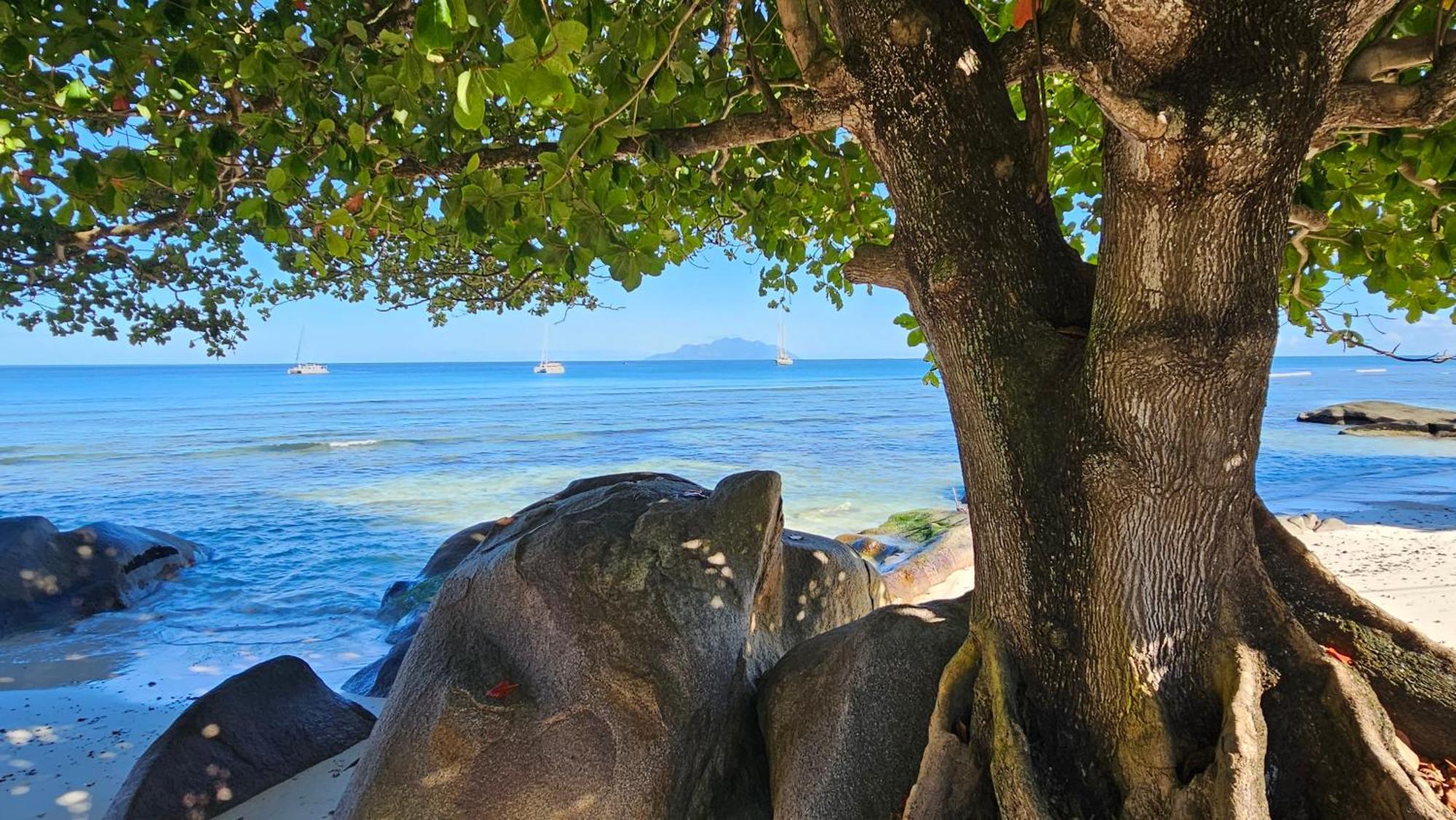 Harmony Self-Catering Apartments Beau Vallon  Exteriér fotografie